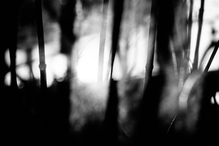 High Line, plate 02