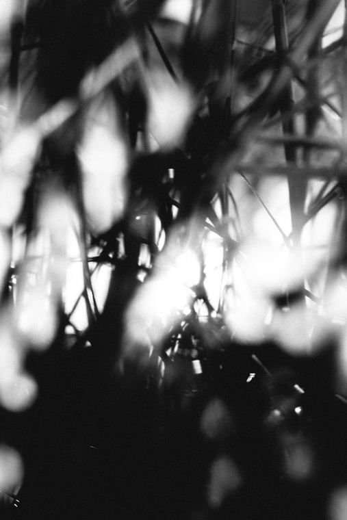 High Line, plate 03