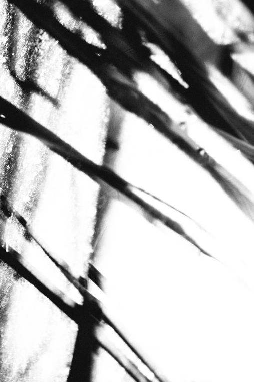 High Line, plate 04